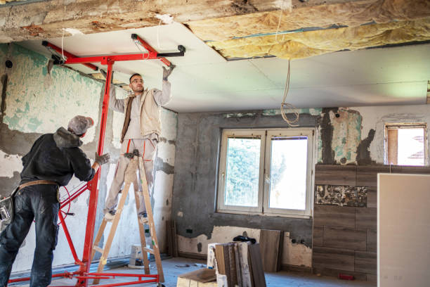 Best Insulation Inspection Services  in Ladd, IL