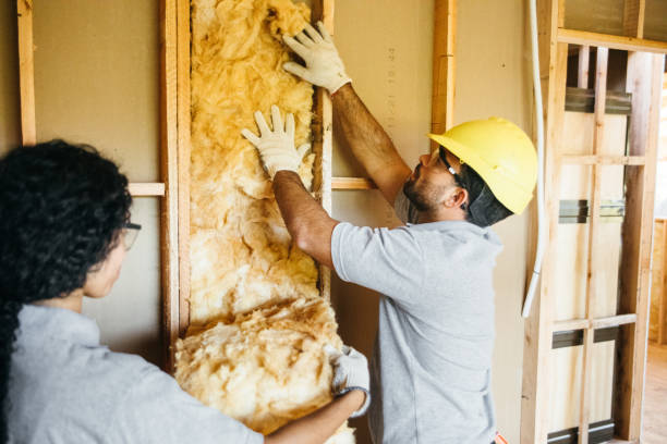 Best Insulation for New Construction  in Ladd, IL