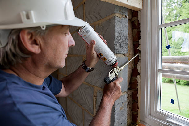 Best Spray Foam Insulation  in Ladd, IL