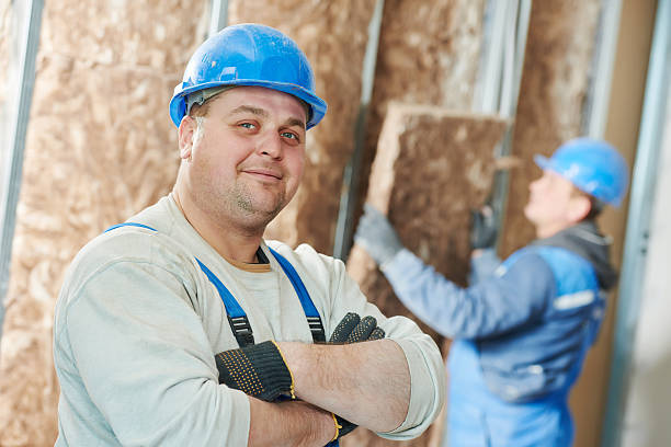 Best Insulation Replacement Services  in Ladd, IL